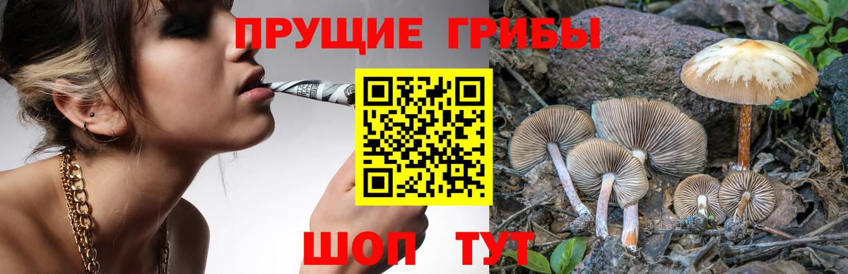 Изобильный  Галлюциногенные грибы Magic Shrooms  Галлюциногенные грибы GOLDEN TEACHER  Вход с VPN 